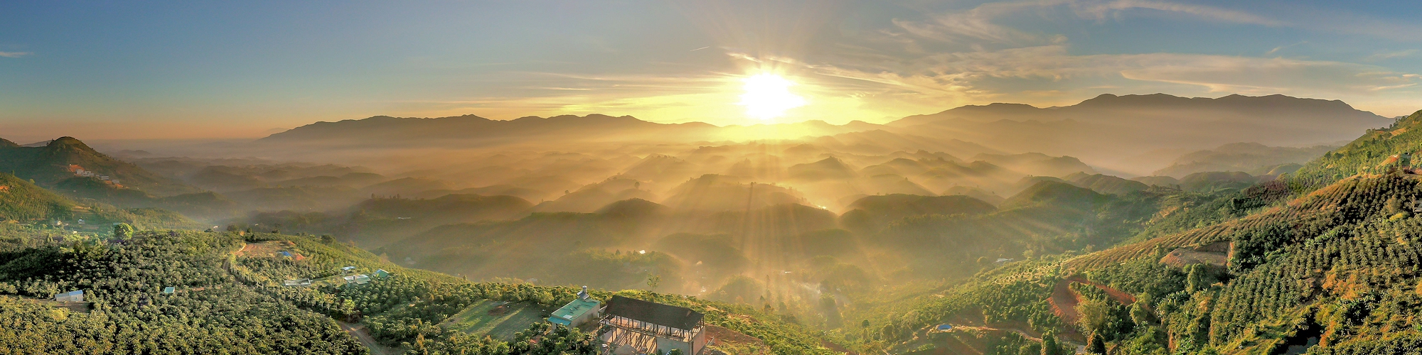 Buddhist Humanism